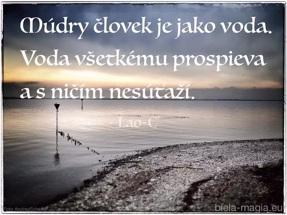 Múdry človek
