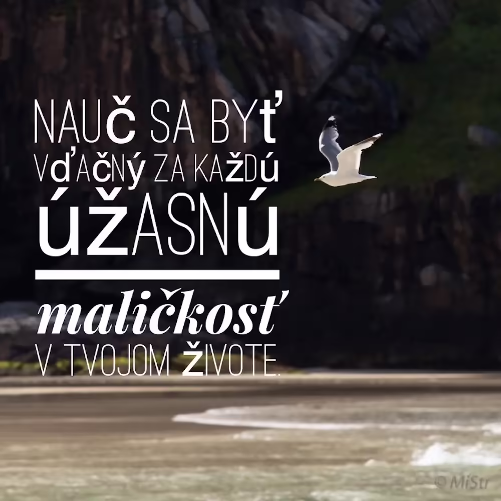 Vďačnosť