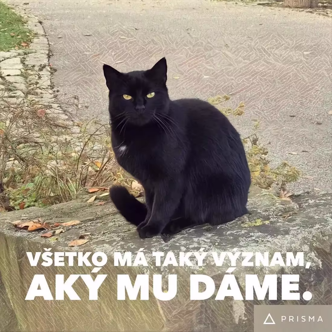 Význam