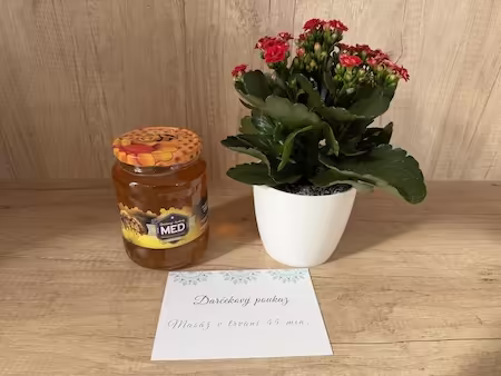 Návšteva - ďakujeme za darčeky!