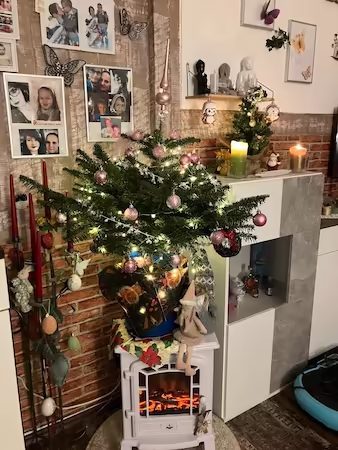 Vianočný stromček pre Marion
