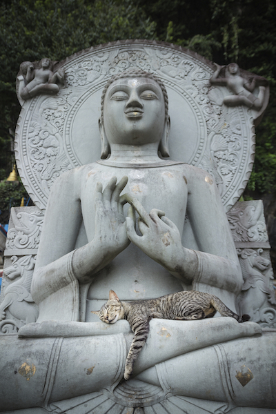 Meditácia s hypnózou